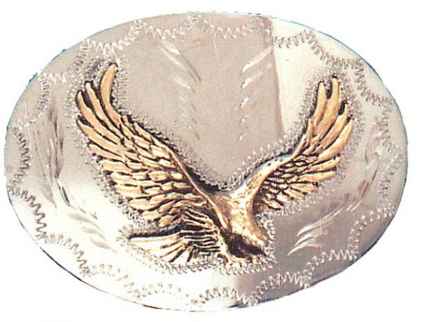 Landing Eagle