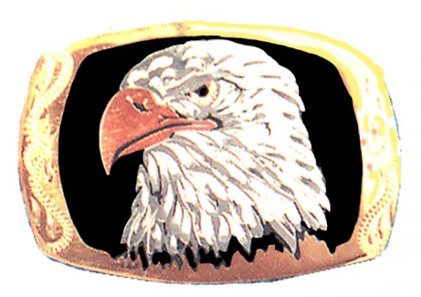 Eagle head