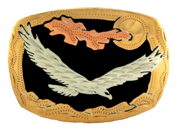 Soaring Eagle