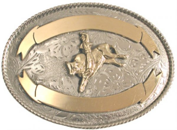 Bull Rider with 2 ribbons