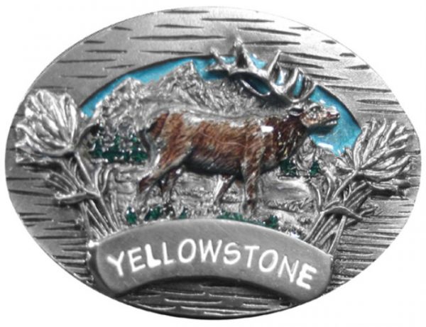 Yellowstone Elk
