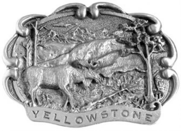 Yellowstone Moose