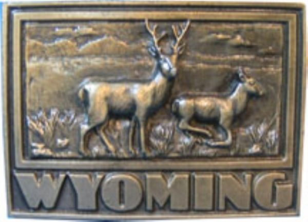 Wyoming Deer Scene