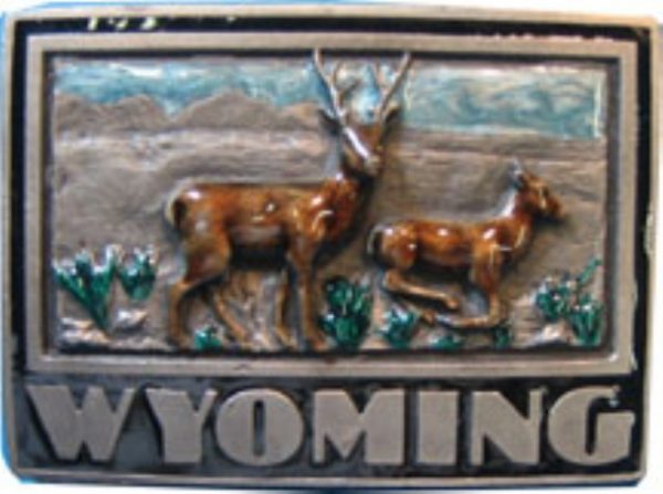 Wyoming Deer Scene