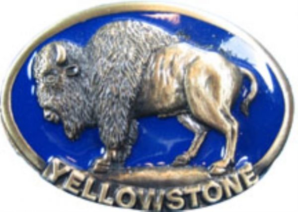Yellowstone Buffalo
