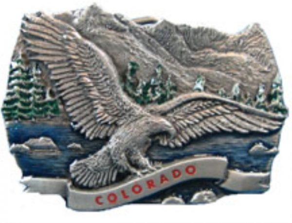 Colorado Eagle in Mountain Lake Scene