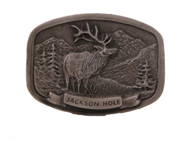 Jackson Hole Elk