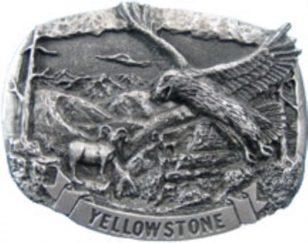 Yellowstone Eagle Scene