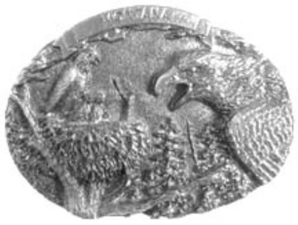 Montana Eagles and Nest