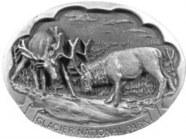 Glacier National Park Fighting Elk