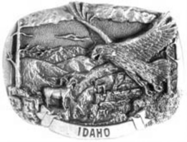 Idaho Eagle