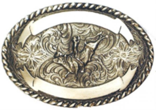 Bull Rider