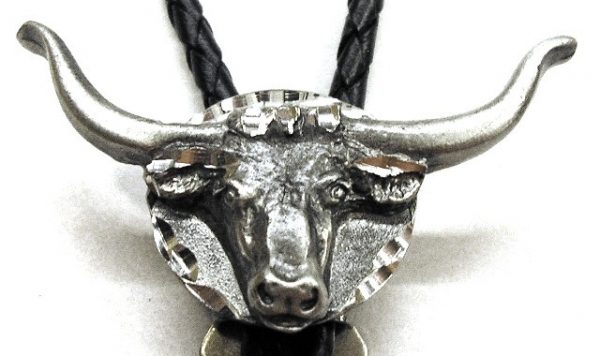 Longhorn Steer Head