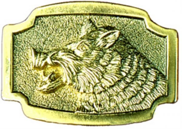 Boar