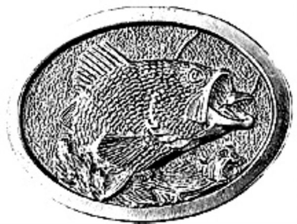 Large Mouth Bass