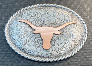 Longhorn Steer
