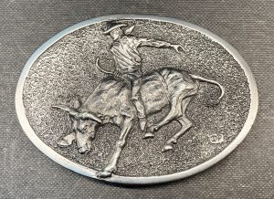 Bull Rider
