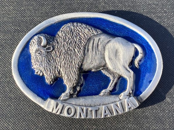 Montana Buffalo