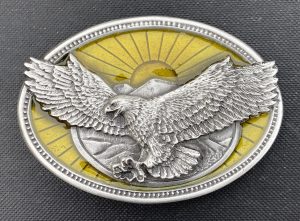 Eagle with Sun