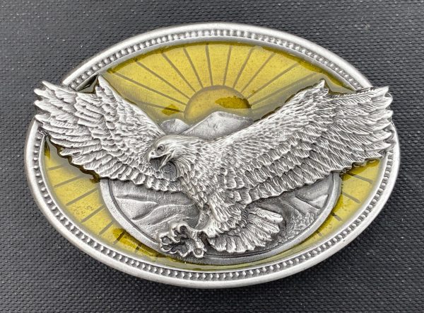 Eagle with Sun