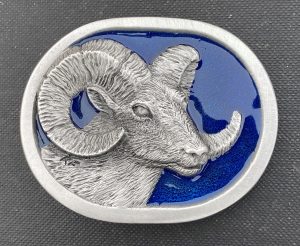 Big Horn Sheep